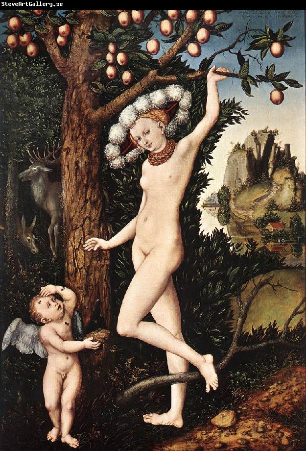 CRANACH, Lucas the Elder Cupid Complaining to Venus df